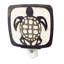 Coquille de mer tortue de nuit