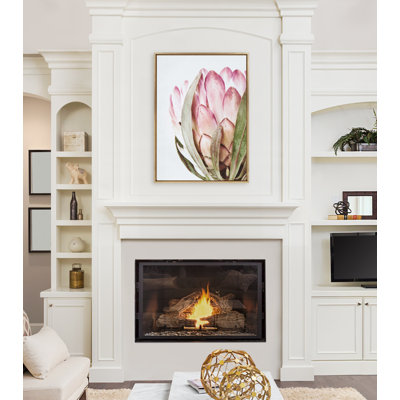Pink Protea Flower by Amy Peterson Framed Canvas Wall Art Print