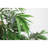 7FT Artificial Willow Tree
