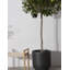 Venedo LED Outdoor Hanging Lantern
