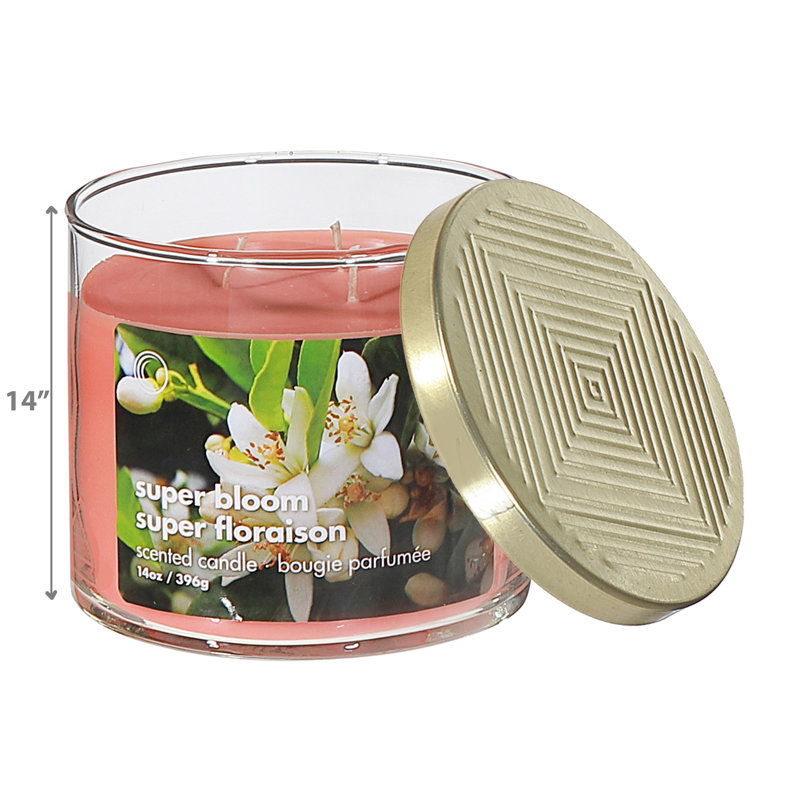 Ensemble de 2 bougies 14 oz 3 Wick Jar