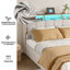 Upholstered Storage Bed-1683197963-1683197967