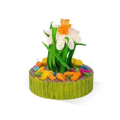Succulent MiniGarden, petit animal