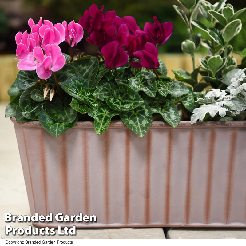 Burchill Planter Box - Twin Pack