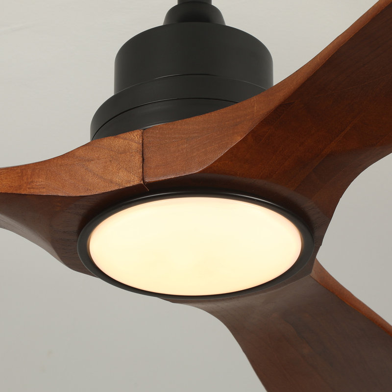 Karlena 52'' Ceiling Fan with LED Lights and Remote Control, Black