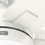 Ventilateur de plafond à 5 pales 52 "avec lumières et chaînes à tirer Anisten-84931859
