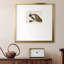 Peackock Plumagepremium, reproduction encadrée-88464330-106152479