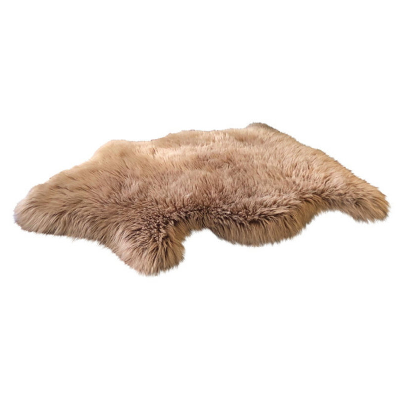 Tapis brun Whiddon, Nouveauté 2 pi x 3 pi