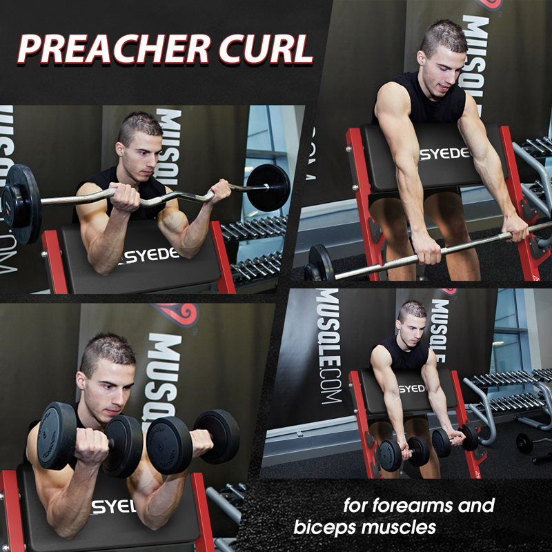 Banc Mikolo Preacher Curl, siège réglable et porte-bar double pour l'entraînement des biceps à la maison, Rouge
