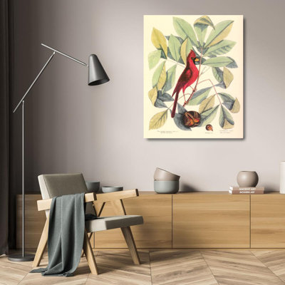 Bird and Hiccory Tree