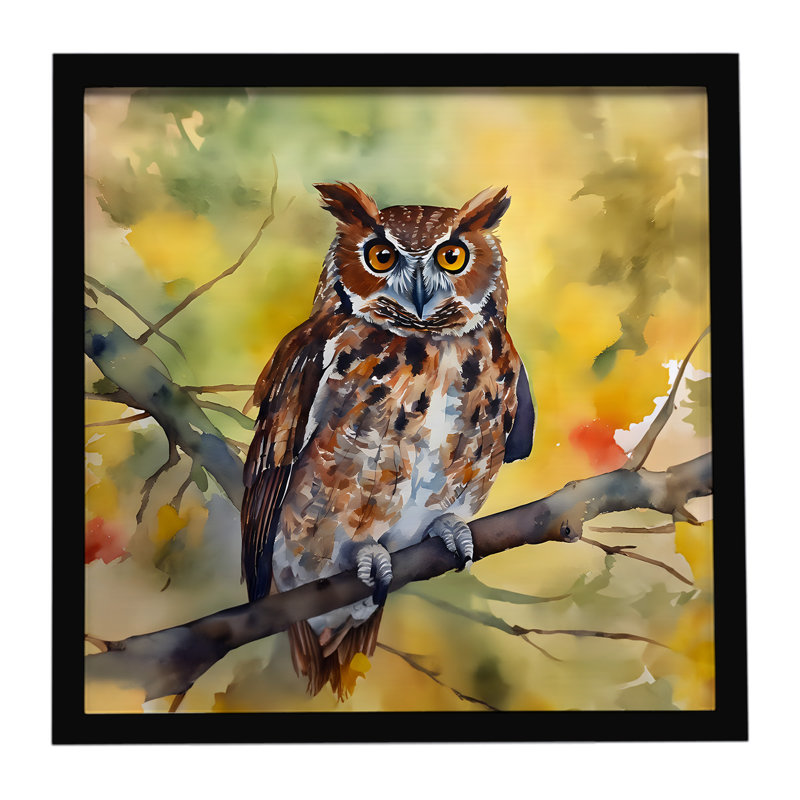 Eastern Screech Owl, impression sur métal encadrée