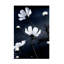 Art sur toile, jolies fleurs sauvages-103094401
