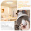 Acrylic Semi Flush Mount-14470547