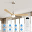 Ceiling Fan with LED Lights