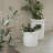 Kruset Pot