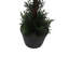 3' Artificial Double Ball Green Cedar Topiary.