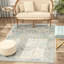 Tapis gris clair Chauncey-3035389