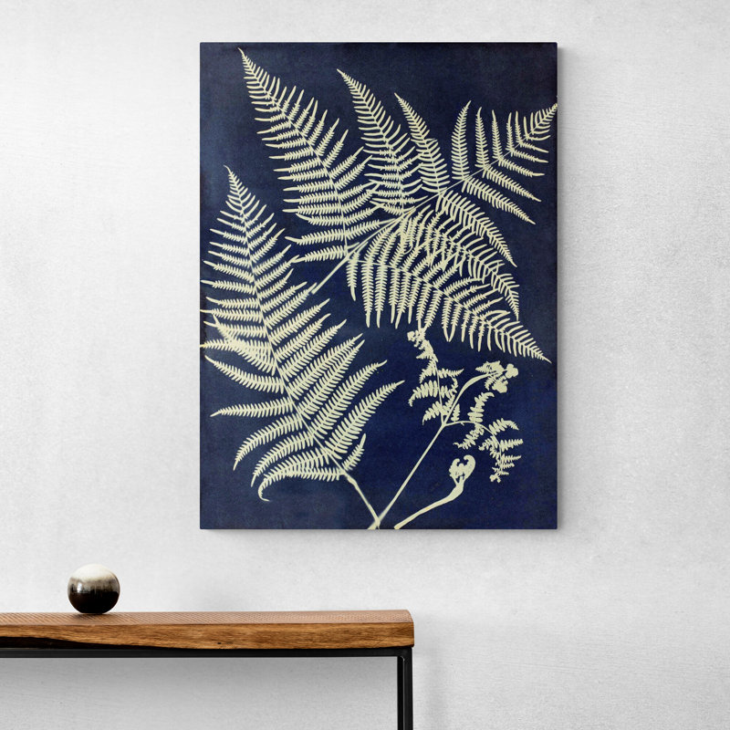 Eagle Fern by Anna Atkins - Wrapped Canvas Painting, 81cm H x 61cm W x 3.81cm D