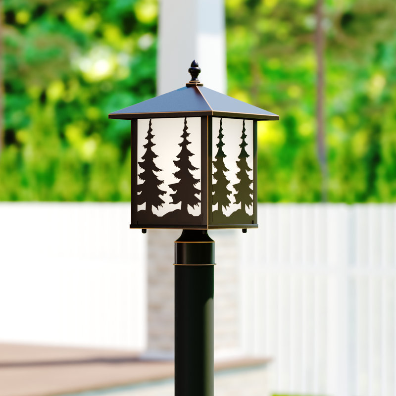 Josefina Lantern Head, Tree