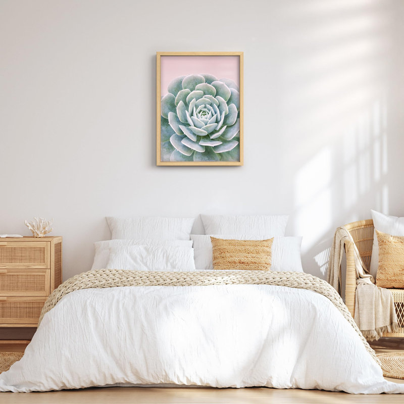 Illustration détaillée de plantes succulentes, texture botanique, petit décor, H 14 po x l 11 po, Naturel
