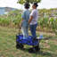 Chariot de plage pliable