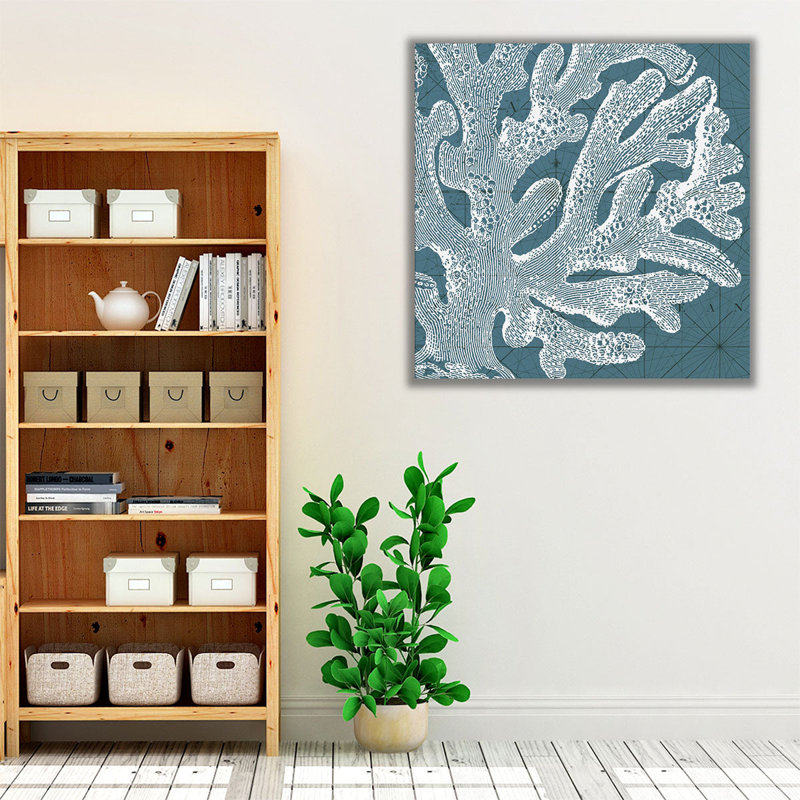 Coastal Menagerie II - reproduction d'art sur toile, H 40 po x l 40 po