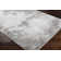 Chamlee Abstract Indoor Rug
