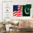 Borges USA And Pakistan Flags-111860035