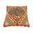 Jacqulin Geometric Throw Pillow