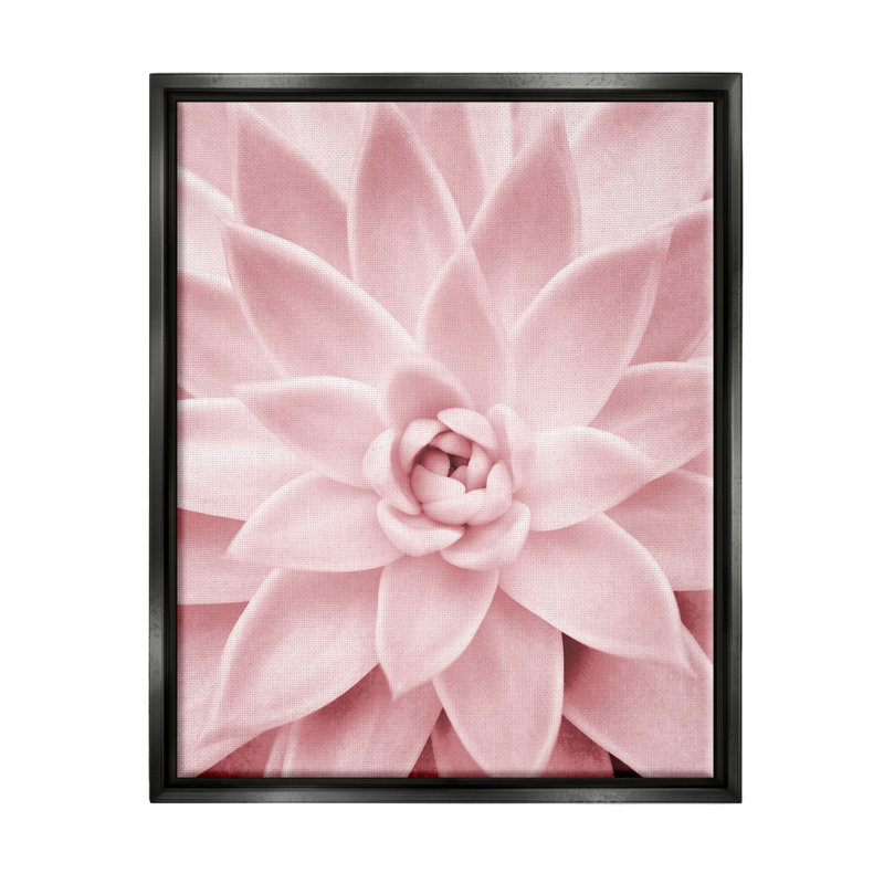 "Latitude Run®", rose pastel, plante grasse encadrée par Sissi et Seb, Cadre flottant noir de jais