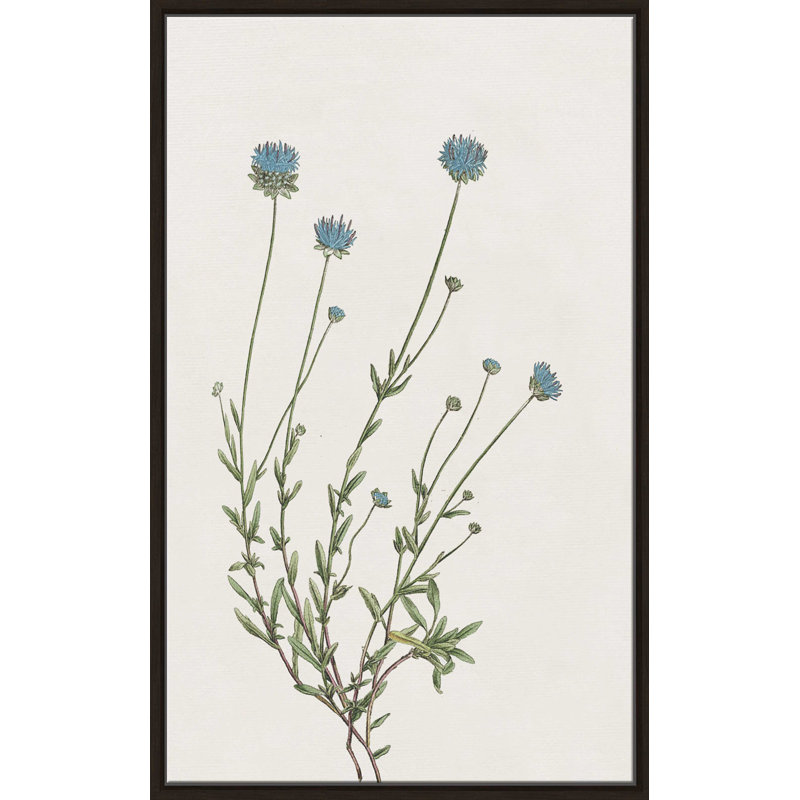 «Blue Wispy I» par Kelly Donovan - Peinture, L 21,5 po x H 33,5 po, Encadrement brun