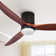 Wrought Studio™ 52'' Ceiling Fan with LED Lights and Remote Control