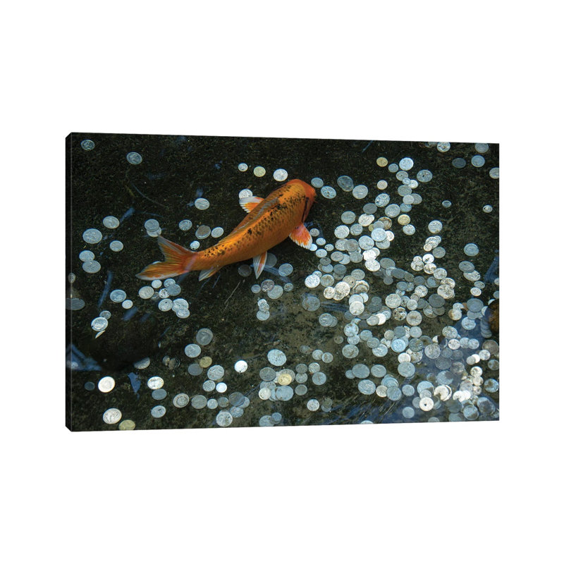 Koi With Coins In A Display At The Taronga Zoo 1 Piece Wall Art on Canvas, 30.48 cm H x 45.72 cm W, Canvas