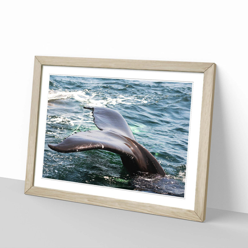 Whale Tail Framed Photographic - Framed Print, Oak