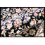 Hand-Knotted High-Quality Black and Beige Runner