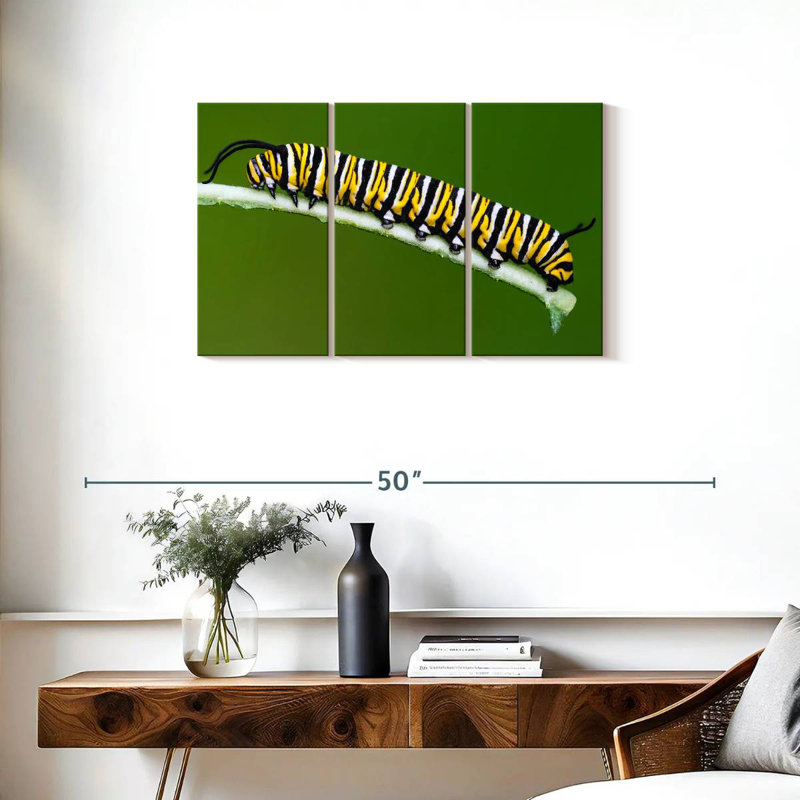 Striped Monarch Caterpillar, 20" H x 33" W