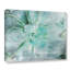 Impression sur toile Jeanetta «Teal Succulent 2»-21257188