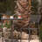 Premium All-Weather Wicker Outdoor Stacking Dining Side Chair with Cushion