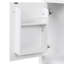 Rokiya 36" Single Bathroom Vanity Set