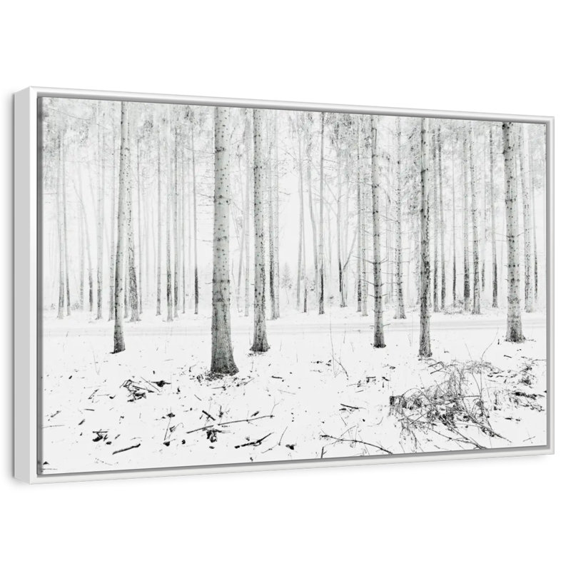 Forêt d'hiver de Langenargen, Cadre flottant blanc, 25 po x 17 po