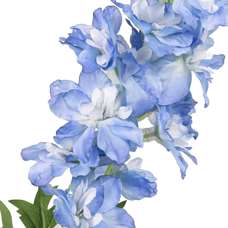 Brume artificielle Delphinium, Bleu