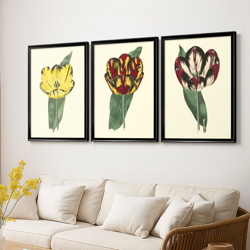 Antique Tulip II - toile tendue avec châssis sur mesure - 3 pièces, Noir, H 19 po x l 27 po
