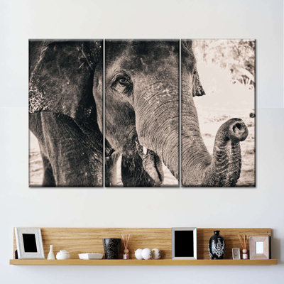 " Elephant Up Close " 3 - Pieces