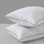 Oreiller luxueux en plumes d'oie - Housse 100% polyester hypoallergénique et rembourrage de qualité supérieure pour un sommeil réparateur-977961078