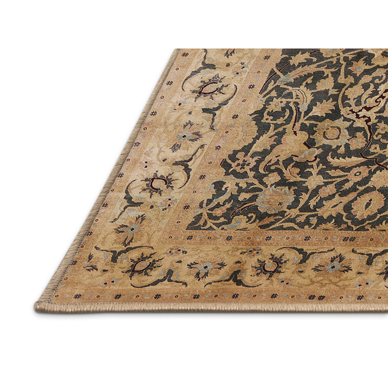 Cianni Oriental Indoor Rug, Rectangle 2' x 3'
