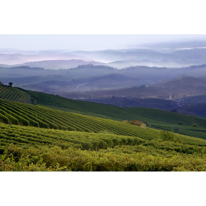 View Of A Vineyard In Langhe by Oxana Litvinova - Wrapped Canvas Print, 30cm H x 46cm W x 3.8cm D