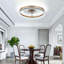 Ceiling Fan with LED Lights