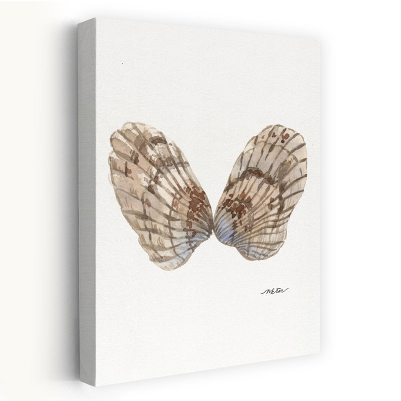 Watercolor Oyster Shells Delicate Serene Coastal Wall Art Print 1 Piece Wrapped Canvas Wall Art, 60.96cm H x 40.64cm W