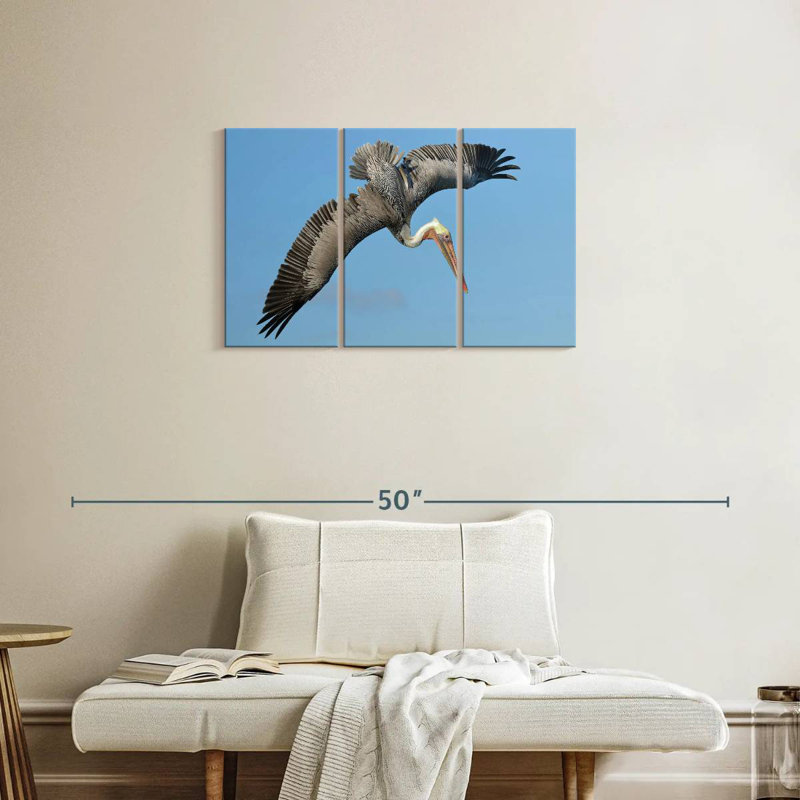 Pelican In The Air