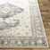 Panorama Oriental Indoor Rug